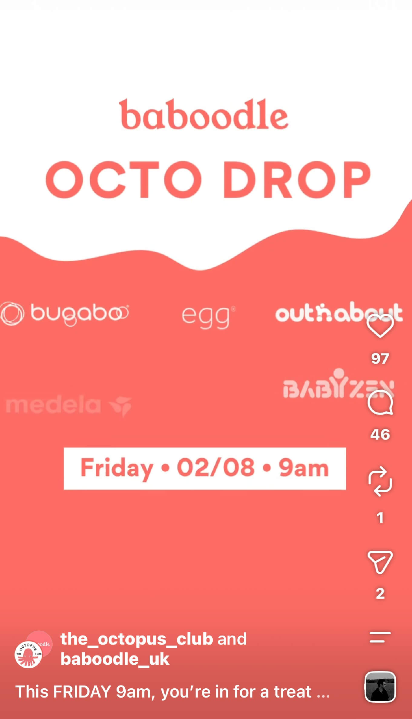 Baboodle-08